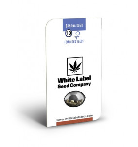 Semi di Banana Kush...