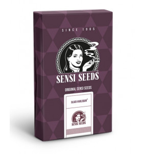 Sensi Seeds | Semi di Black...