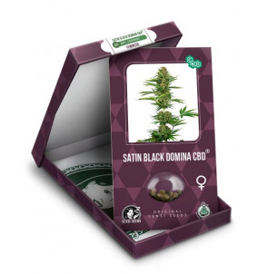 Sensi Seeds | Semi di Satin...