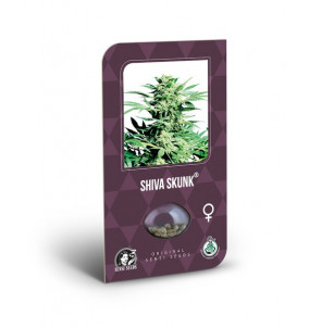 Sensi Seeds | Semi di Shiva Skunk...