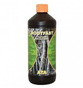 Atami | Rootfast |...