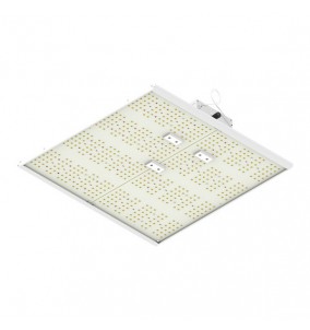 Ortoled | Lampada Quantum Board | 240 W |...