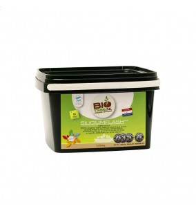 Biotabs | Silicium Flash |...